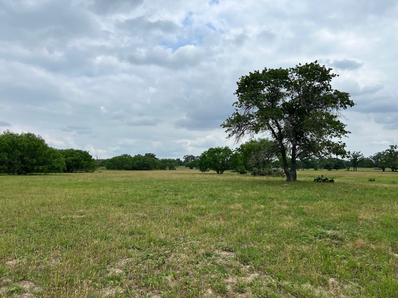 Property Photo:  Lot 17 Settlement Way  TX 78648 
