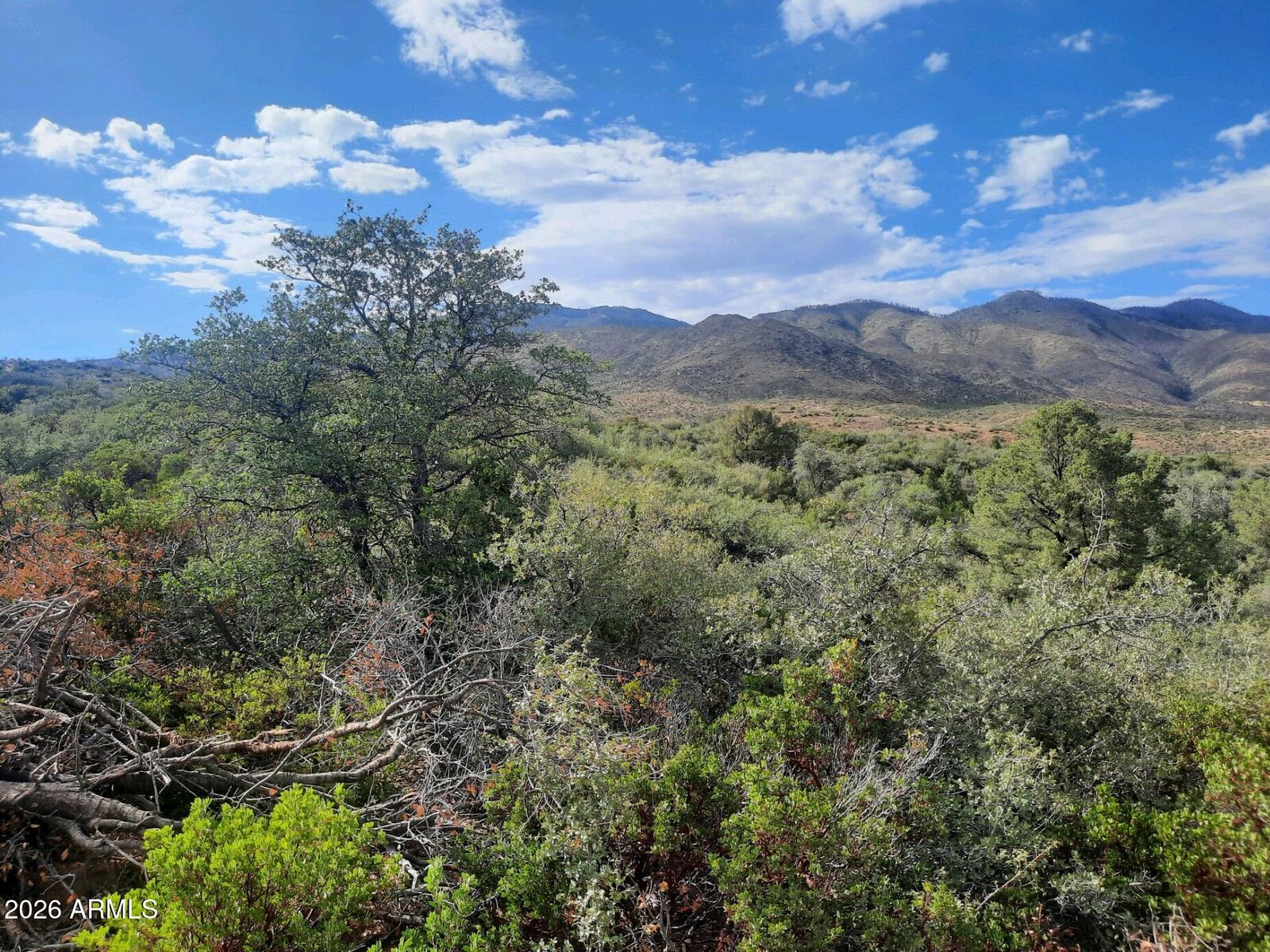 Property Photo: 1xx N Chicory Lane - AZ 85501