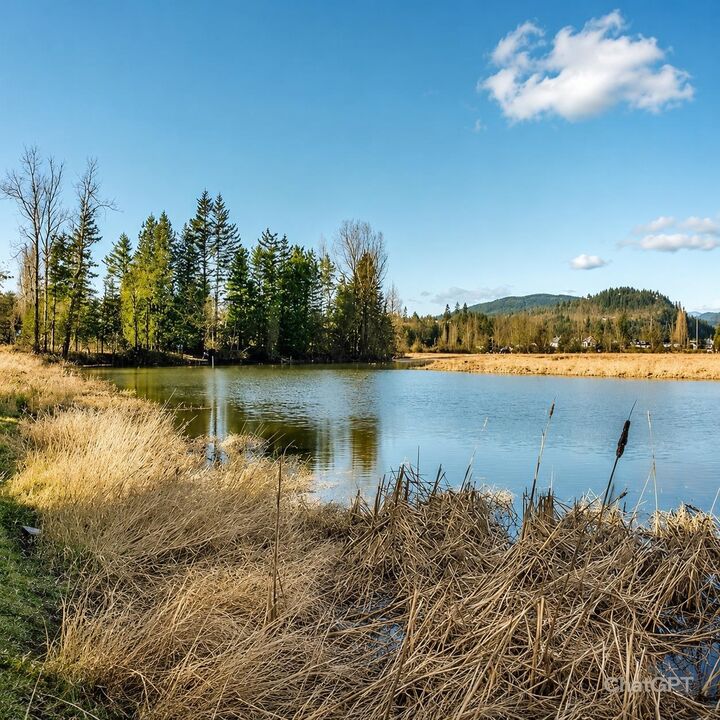 Property Photo: 35775 Lougheed Highway BC V2V 4J1