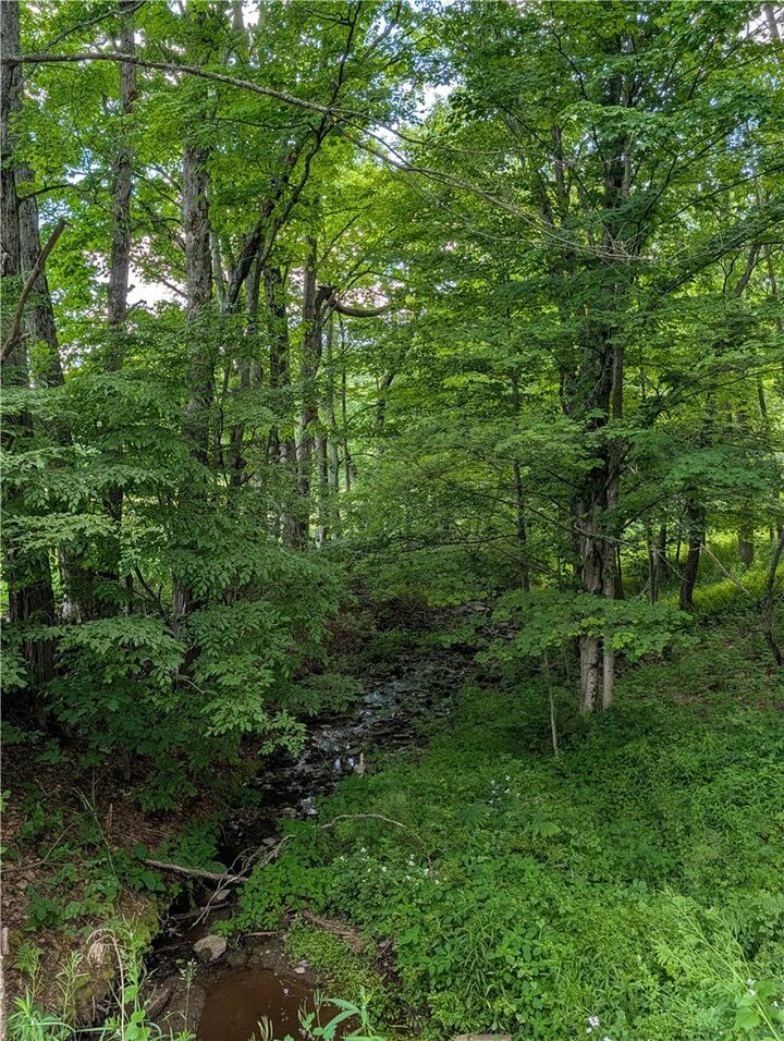 Property Photo:  Case Road  NY 13733 