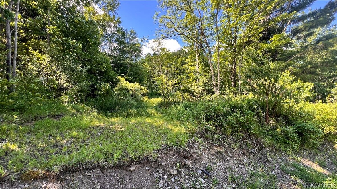 Property Photo:  Cherry Valley Road  NY 14706 