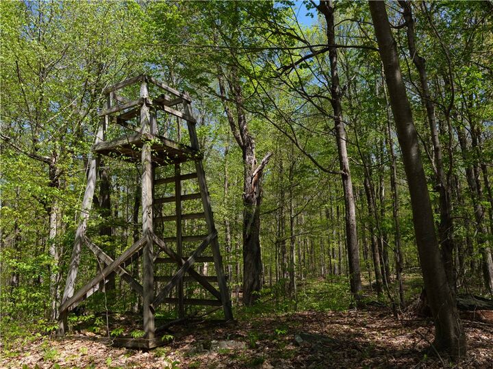 Property Photo: Sanly Road NY 13839