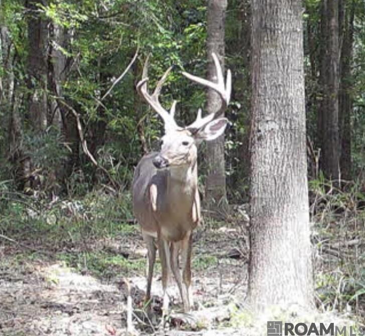 Property Photo:  11255 Old Port Gibson Road  MS 39086 