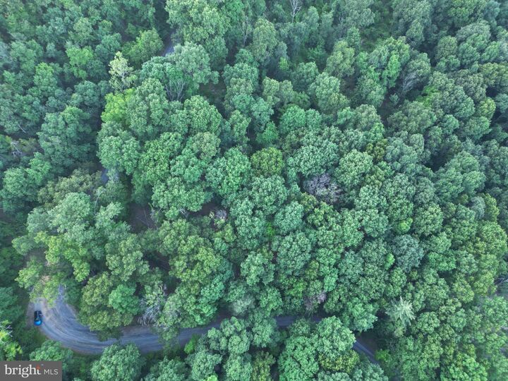 Property Photo: Tbd Rolly Rd VA 22842