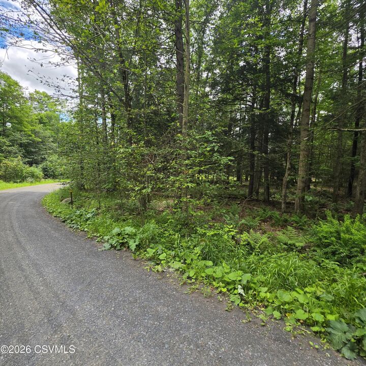 Property Photo:  Lot 23 Wooded Lane  PA 17758 