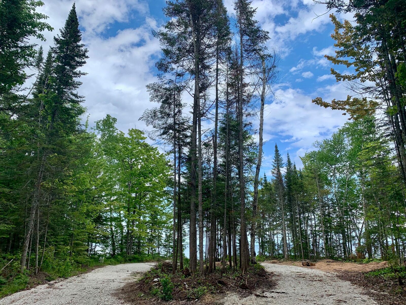 Property Photo: 9016 N Whitefish Point Rd MI 49768