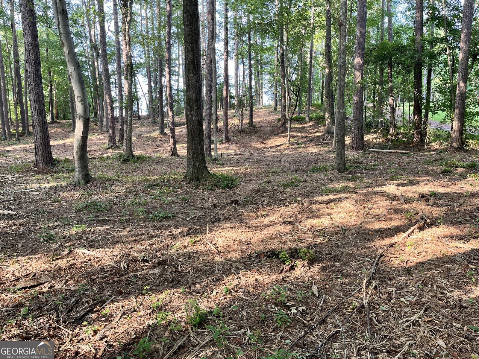 Property Photo:  0 Winterberry Lane  GA 30161 
