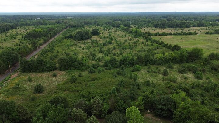 Property Photo:  Tbd Cr 2805 (Holland Road)  TX 75773 