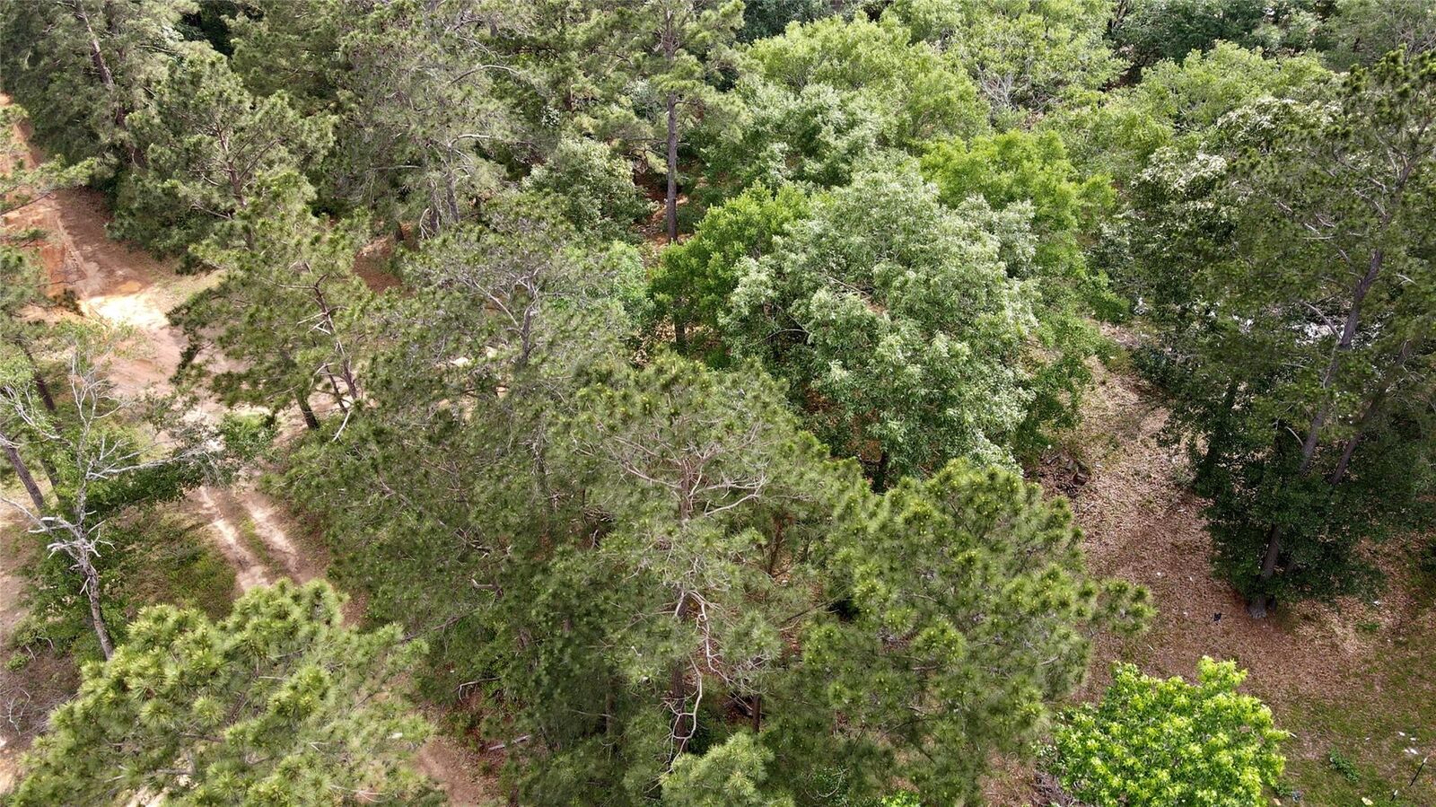 Property Photo: 0 Keenan Cutoff Rd TX 77316