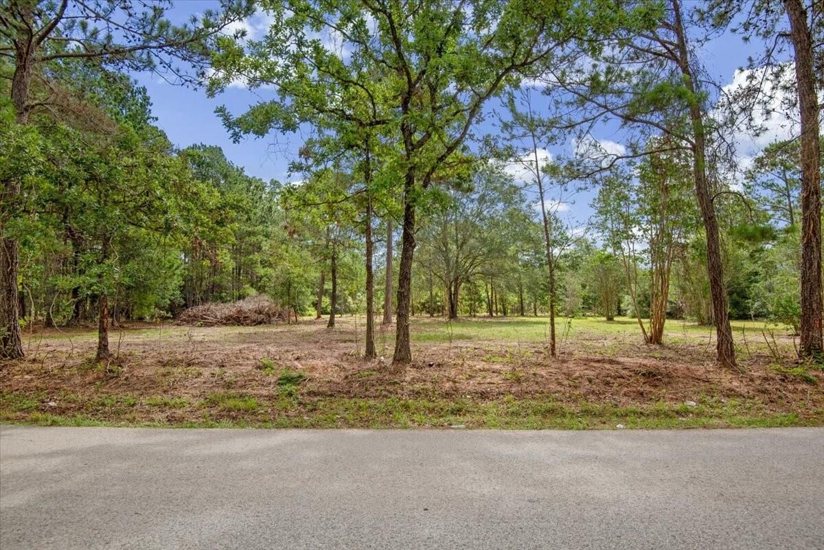 Property Photo: Tbd Lot 4 County Road 302 TX 77363
