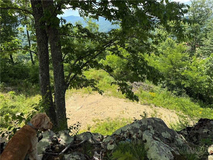 Property Photo:  1040 Eagles Nest Trail  NC 28622 