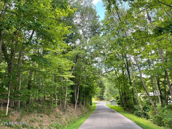 Property Photo:  64 Riddle St  TN 37321 