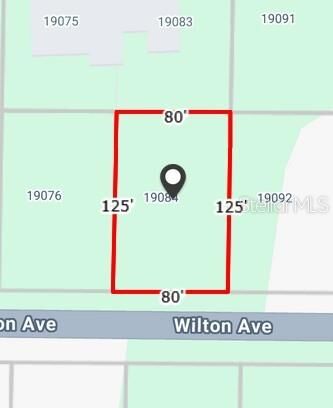 Property Photo: 19084 Wilton Avenue FL 33954