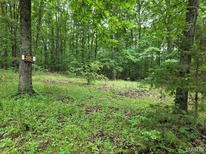 Property Photo:  951 County Road 514  MO 63966 
