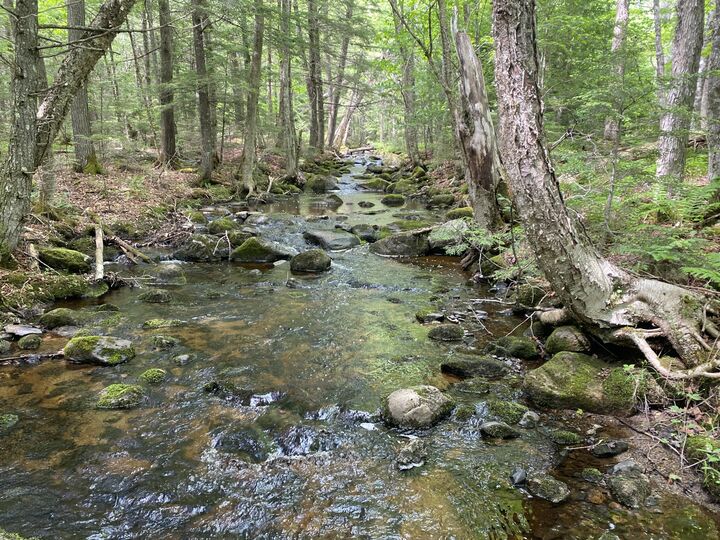 Property Photo: 783 Half Township Road ME 04457