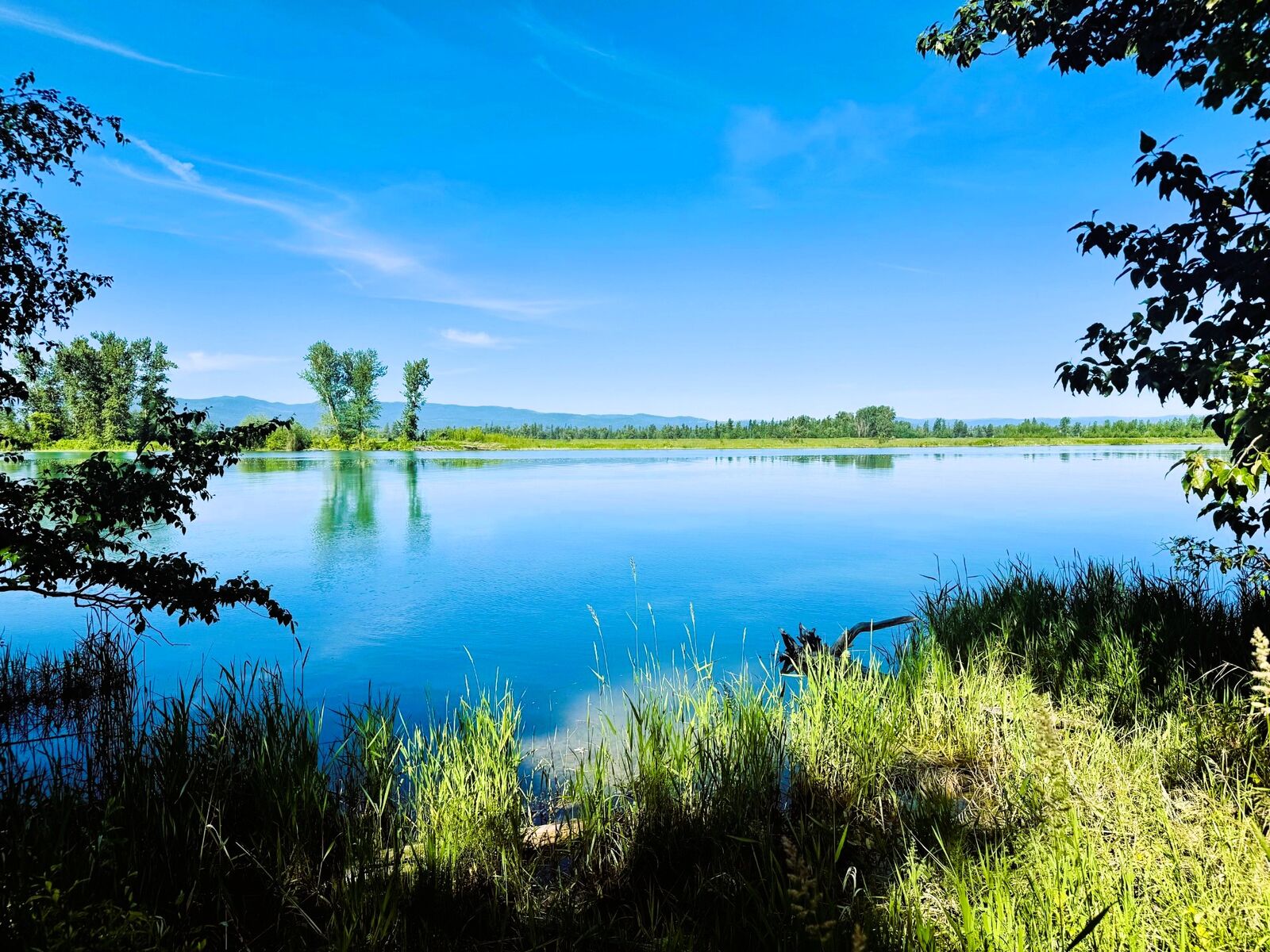Property Photo: 900 Riverside Road MT 59901