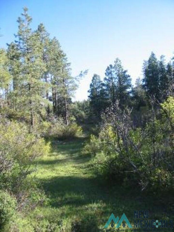 Property Photo: Owls 2A Blue Spruce Trail NM 87520