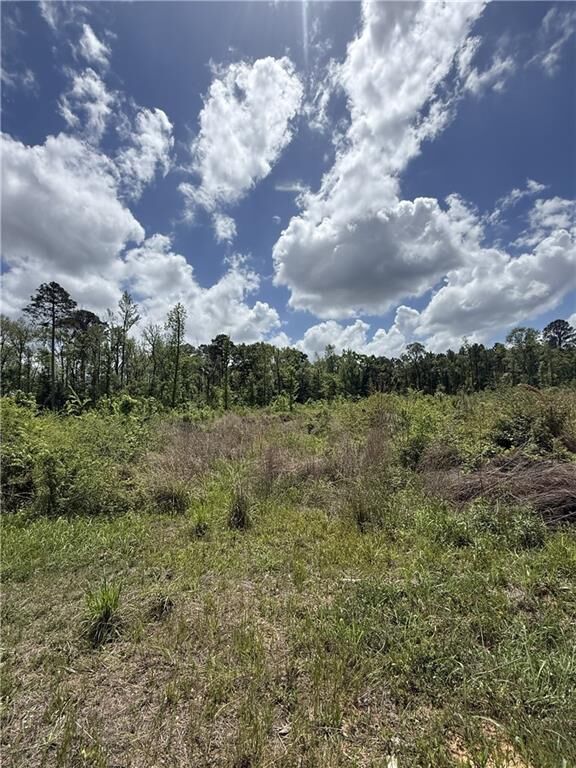 Property Photo:  Tbd Newsome Road  LA 71360 