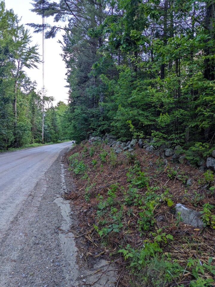 Property Photo:  128 Brock Hill Road  NH 03240 