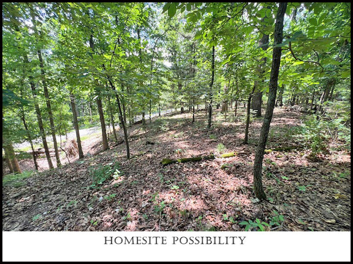 Property Photo: Brixton Lane AR 72714
