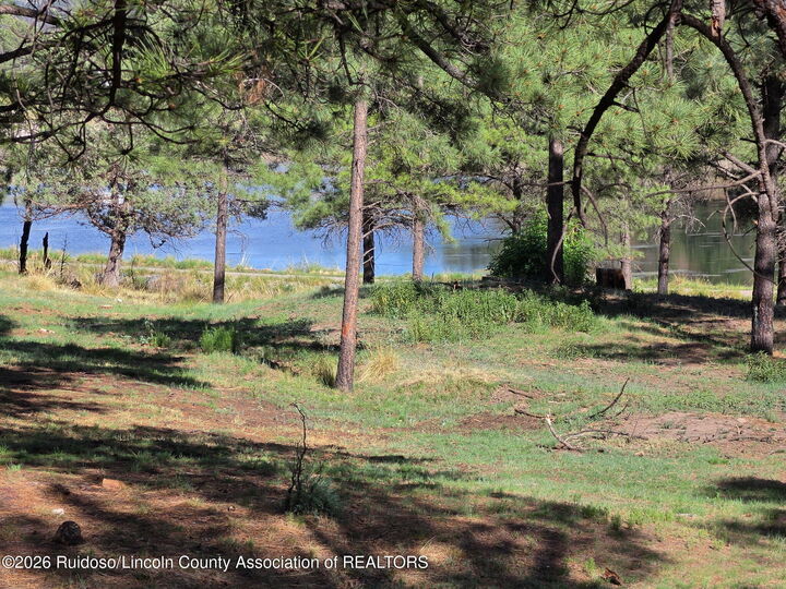 Property Photo:  209 Lake Shore Drive (Lot 4)  NM 88312 