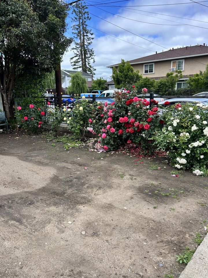 Property Photo: 322 1st Avenue CA 94063