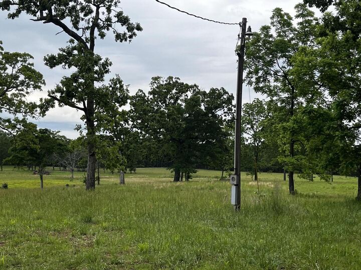 Property Photo: 000 County Road 8470 MO 65775