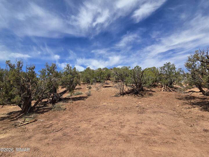 Property Photo:  9255 Tonto Road  AZ 85937 