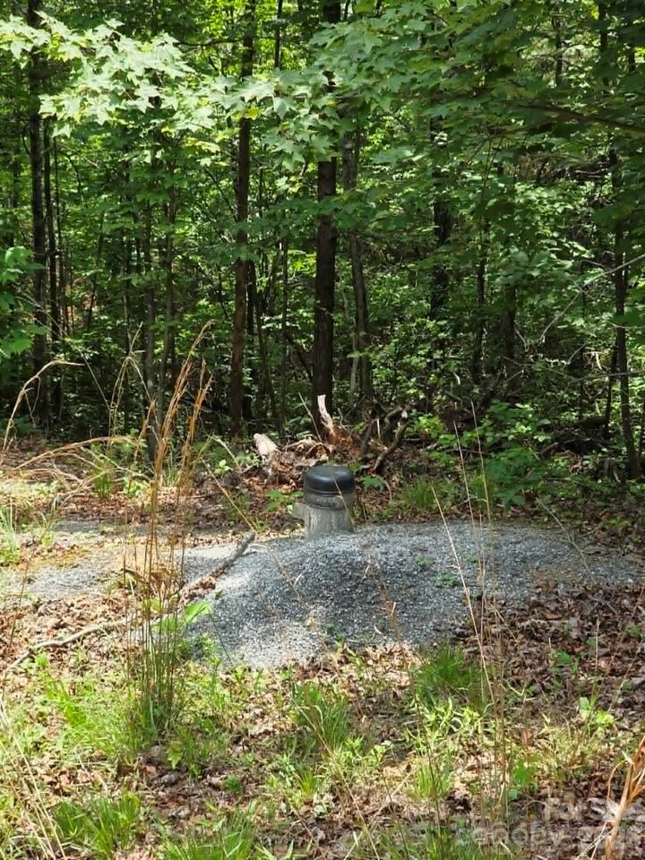 Property Photo: 169 Fairfield Lane NC 28752