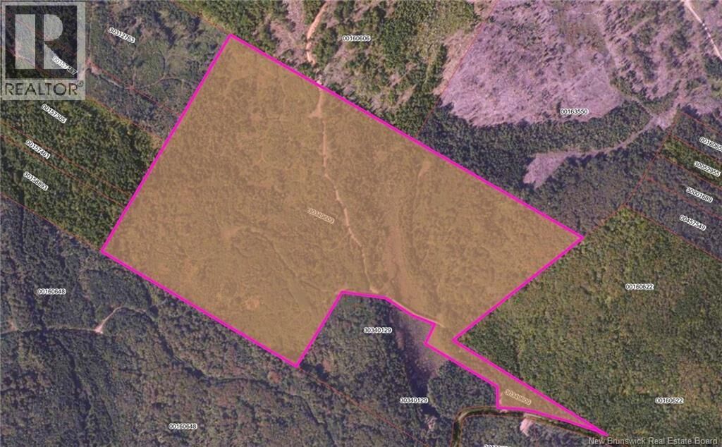 Property Photo:  Lot Backland Road  NB E5N 1E4 