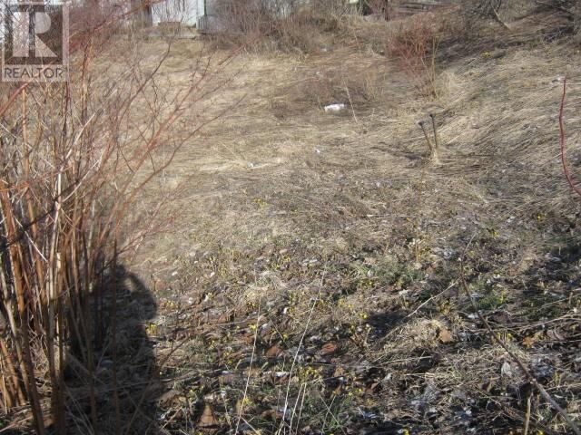 Property Photo:  233 Humber Road  NL A2H 1H6 