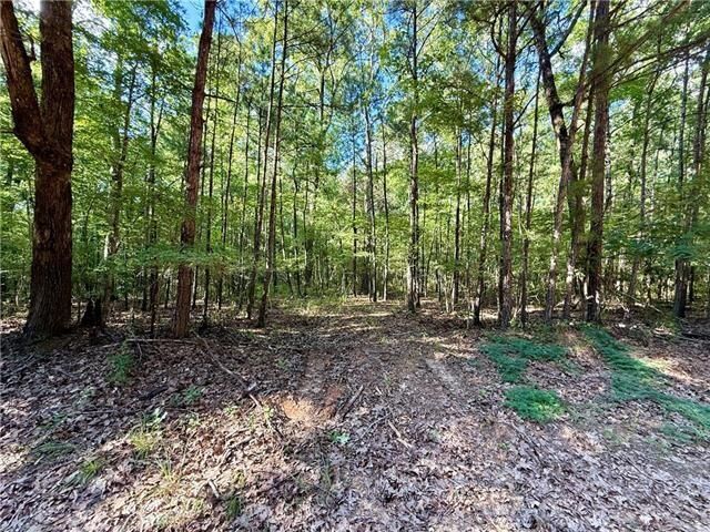 Property Photo:  0 Hwy 771 Highway  LA 71465 
