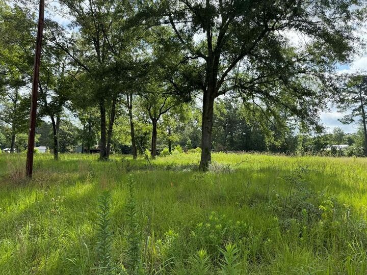 Property Photo:  194 Lindsley Ln  TX 75949 