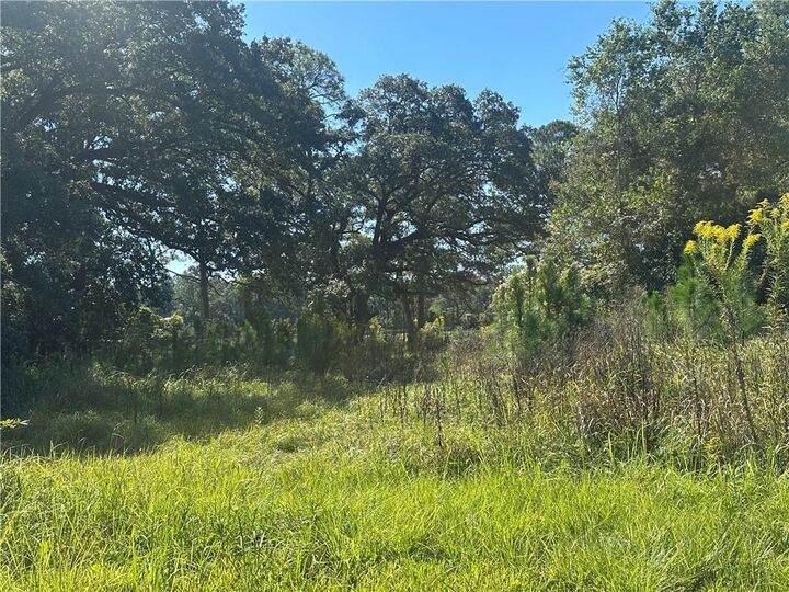 Property Photo: 8916 Alba Street W AL 36509