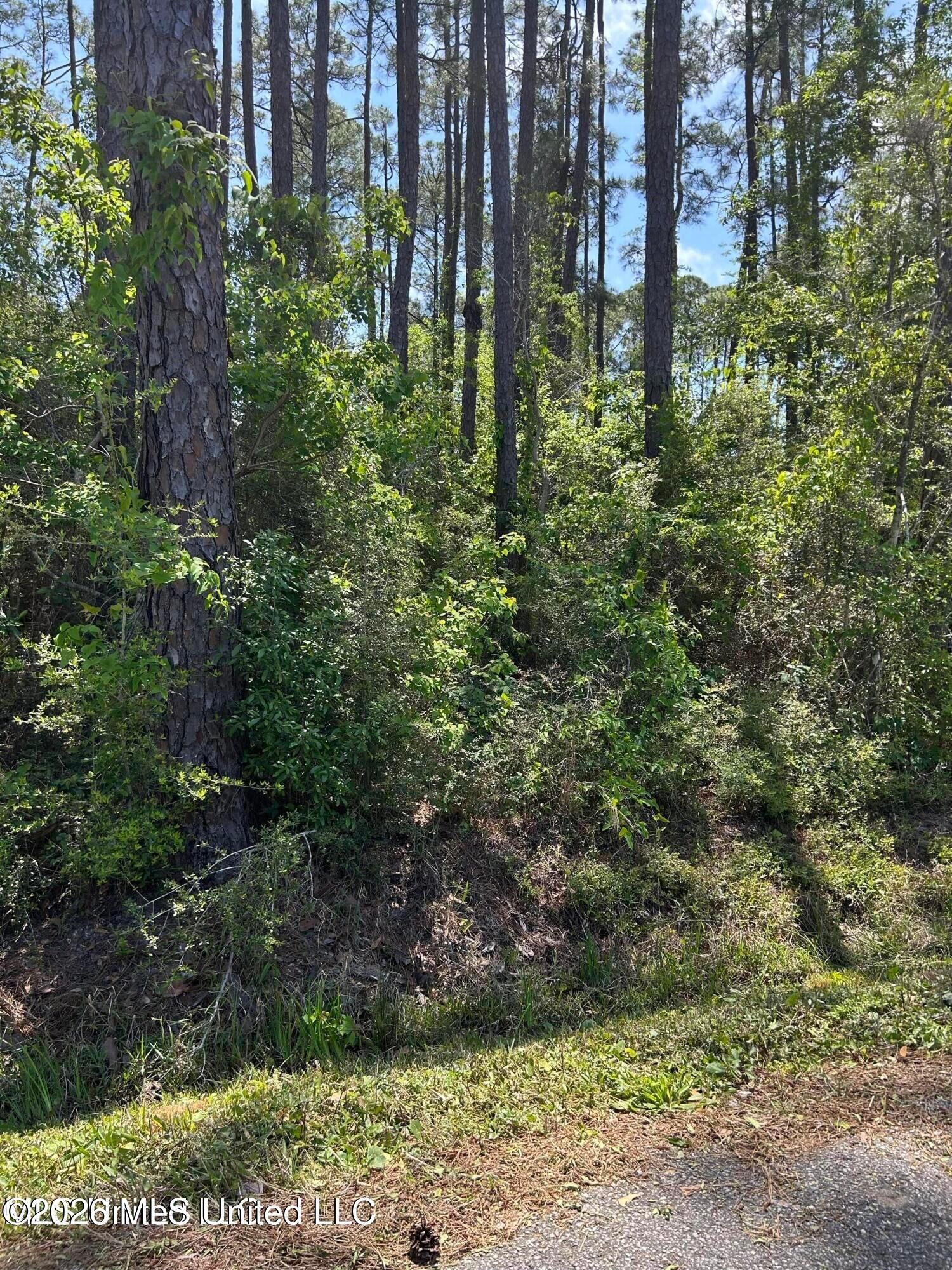 Property Photo: Parkview Lane MS 39571
