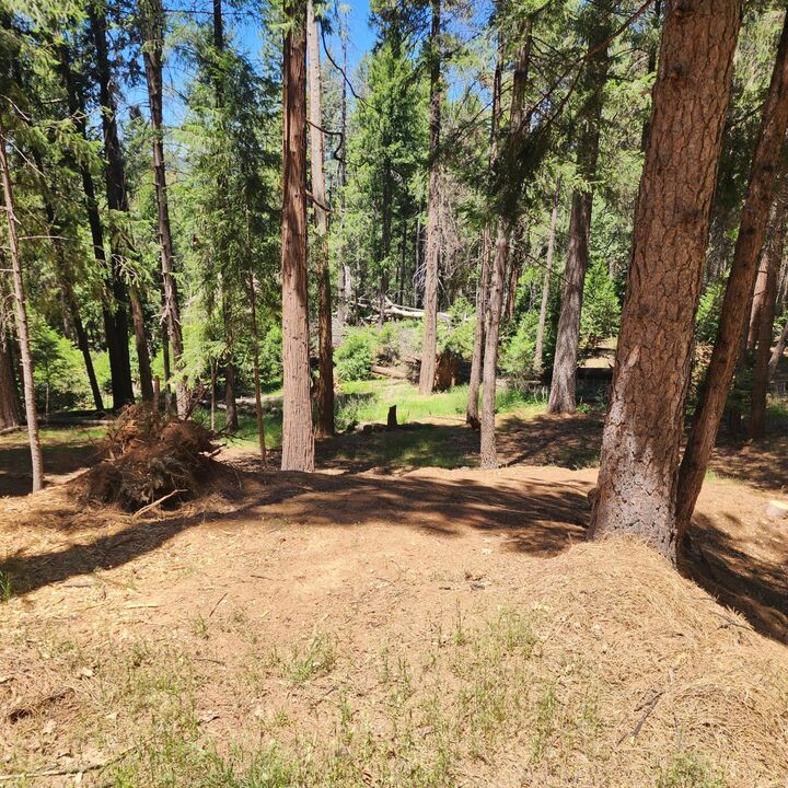 Property Photo: 5741 Lupin Lane CA 95726