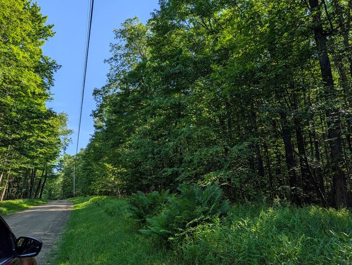 Property Photo:  00 Neefe Road  PA 16915 