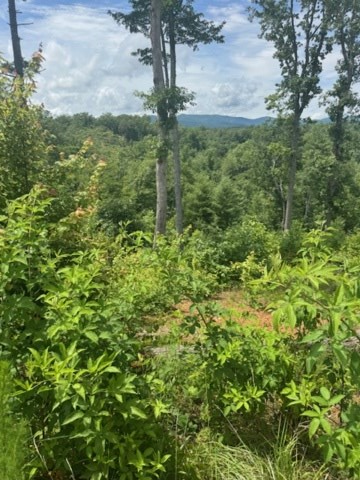 Property Photo:  Lt 104 River Knoll Trail  GA 30540 