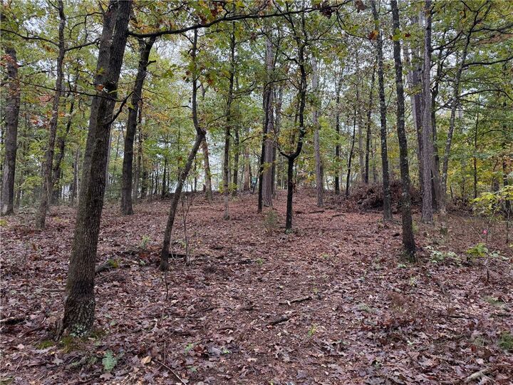 Property Photo:  Tbd Potter Lane  AR 72715 