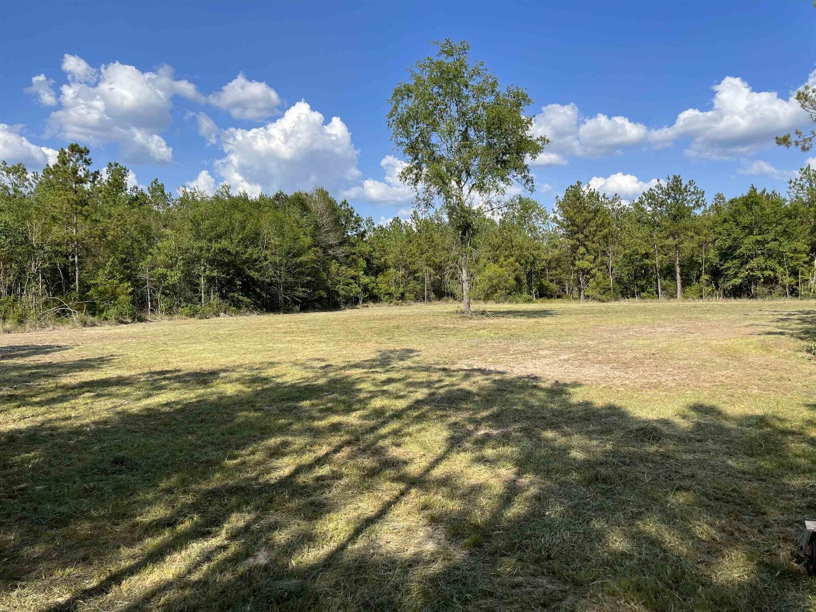 Property Photo: 1655 Cr 716 TX 77612