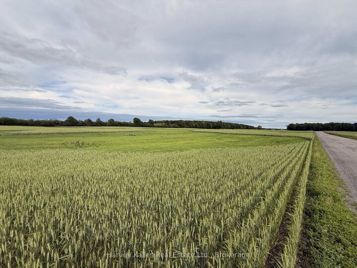 Property Photo: Beside 243 Morgan Road ON K0K 1G0