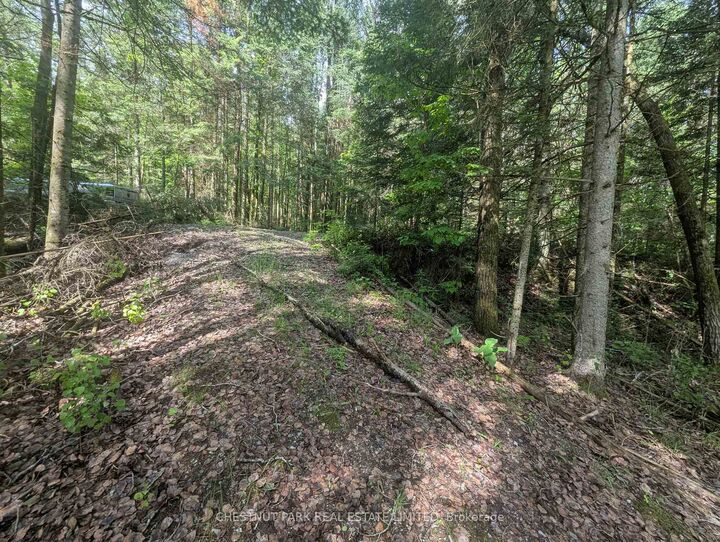 Property Photo:  0 Highway 503 Highway  ON K0M 1S0 