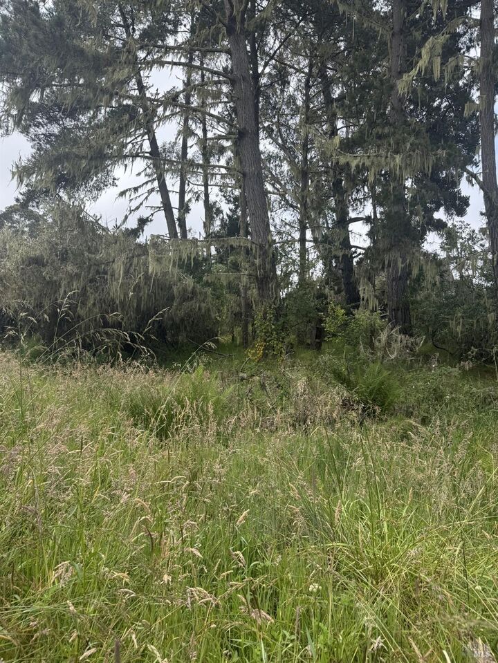 Property Photo: 241 Alder Road CA 94924