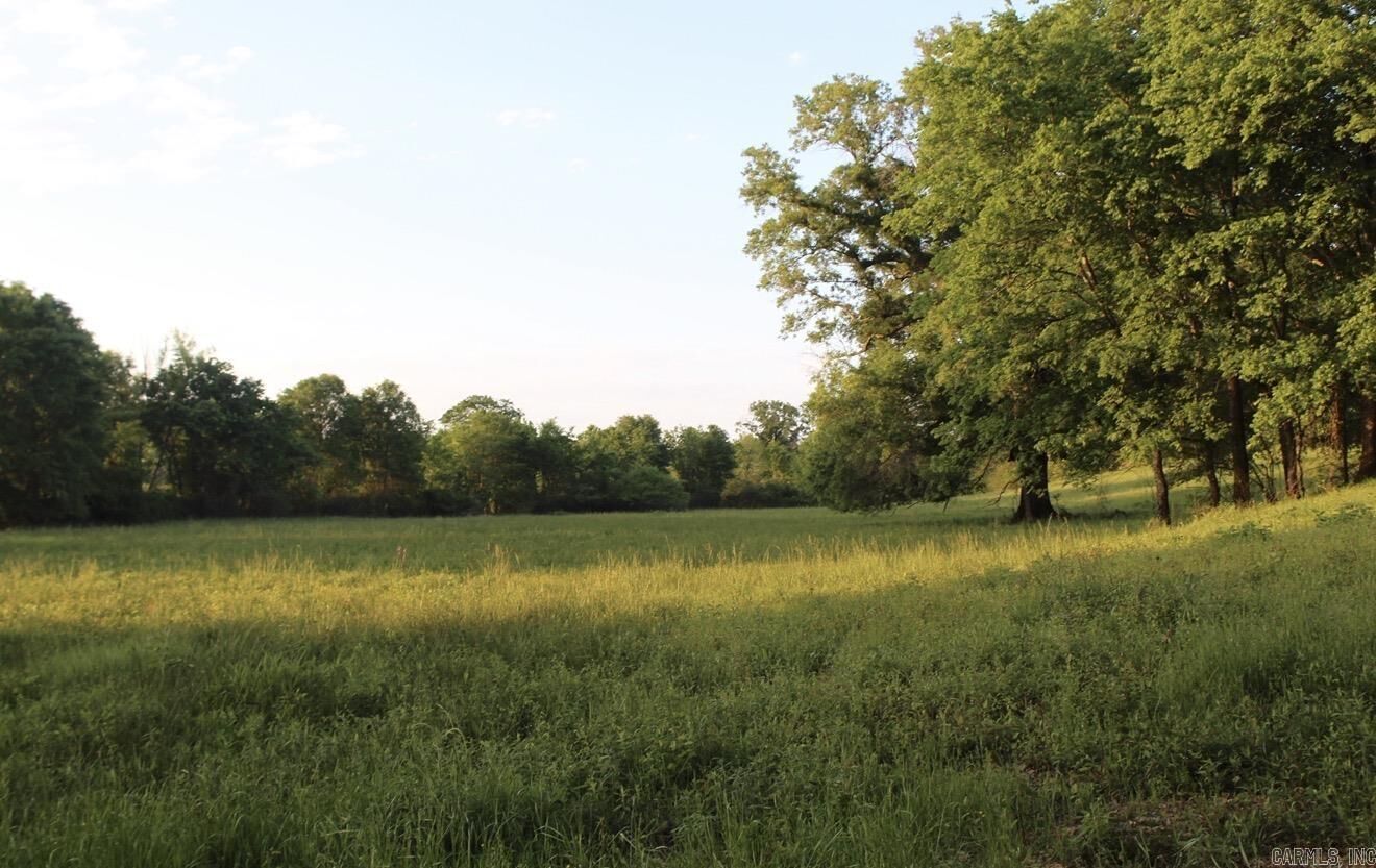 Property Photo: 299 Tract 2 Harmony Tract 2 AR 71921-0000