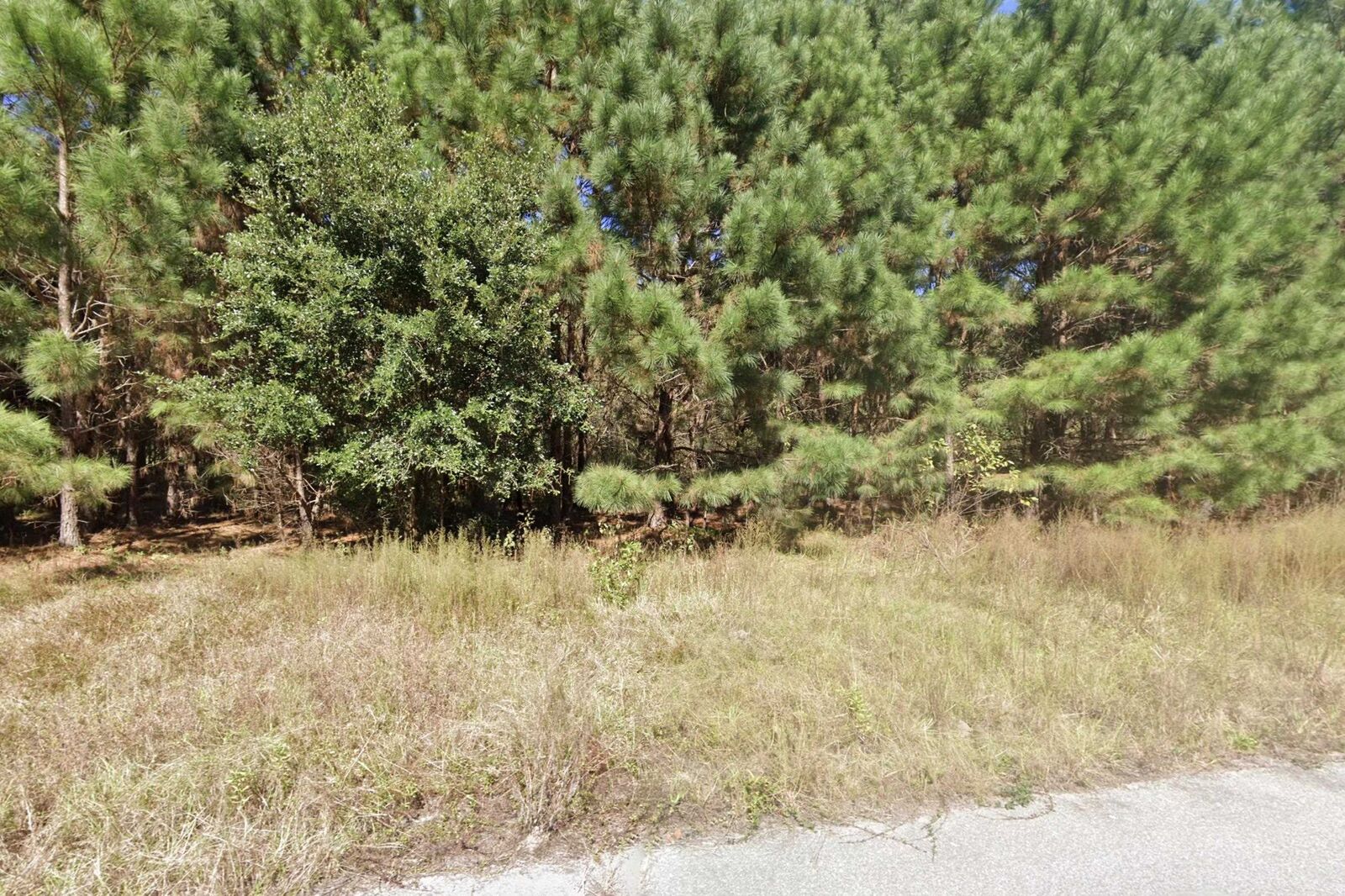 Property Photo: 442 Pembroke Blvd. SC 29555