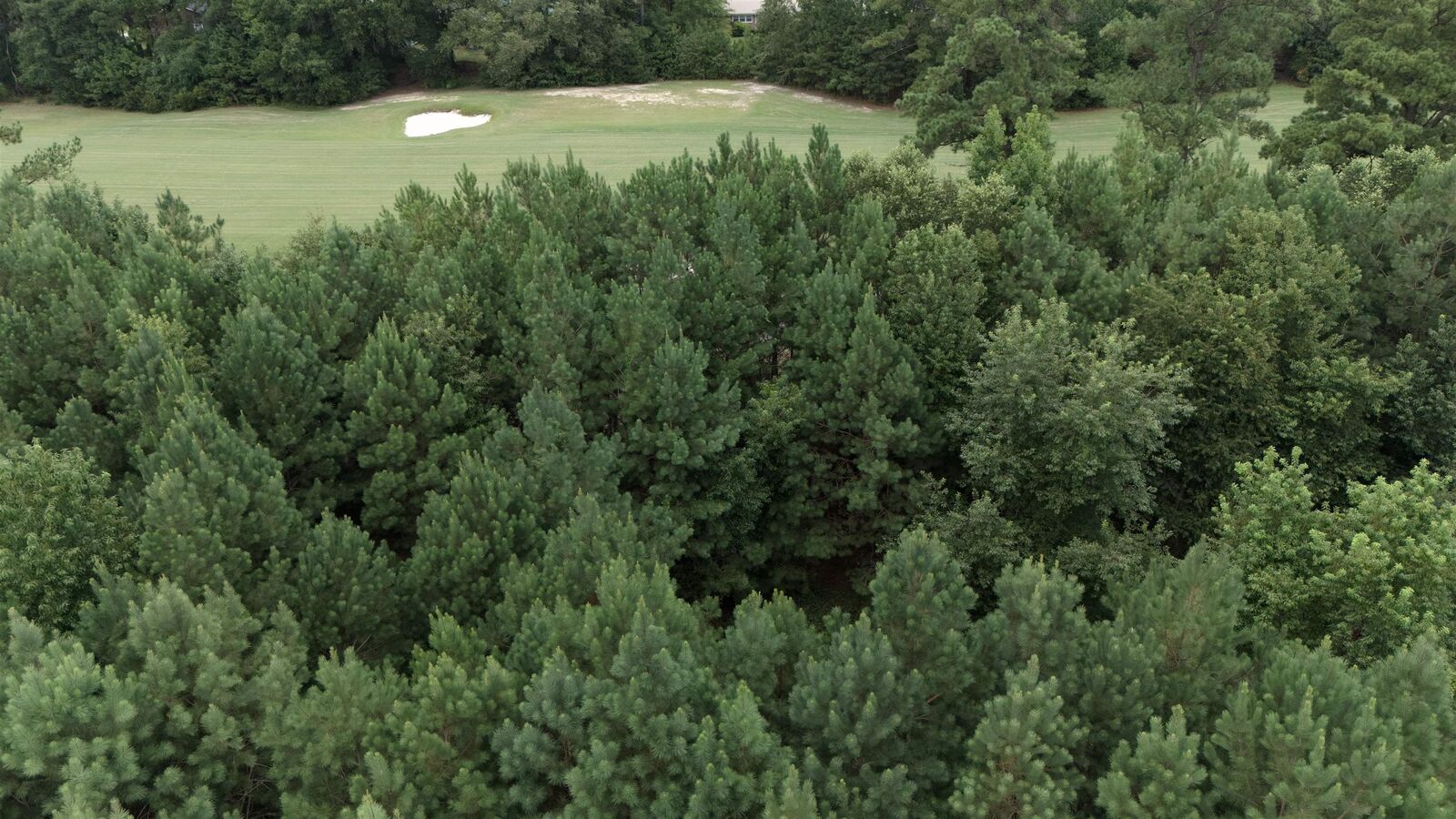 Property Photo: 442 Pembroke Blvd. SC 29555