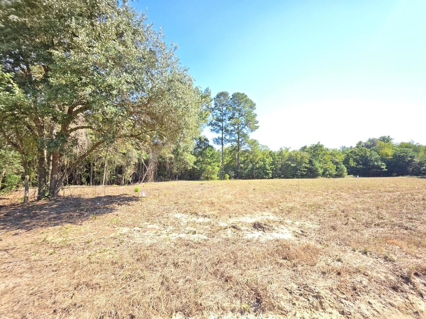 Property Photo: 6 Joseph Lemon And Dingle Road SC 29102