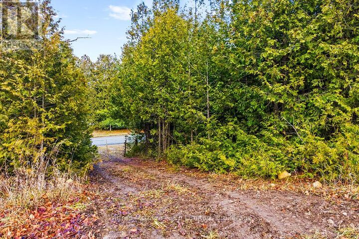 Property Photo:  Ptlt 16 5 Sideroad  ON N0H 1G0 