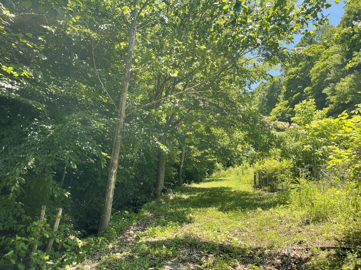 Property Photo:  6758 Highway 66  KY 40902 