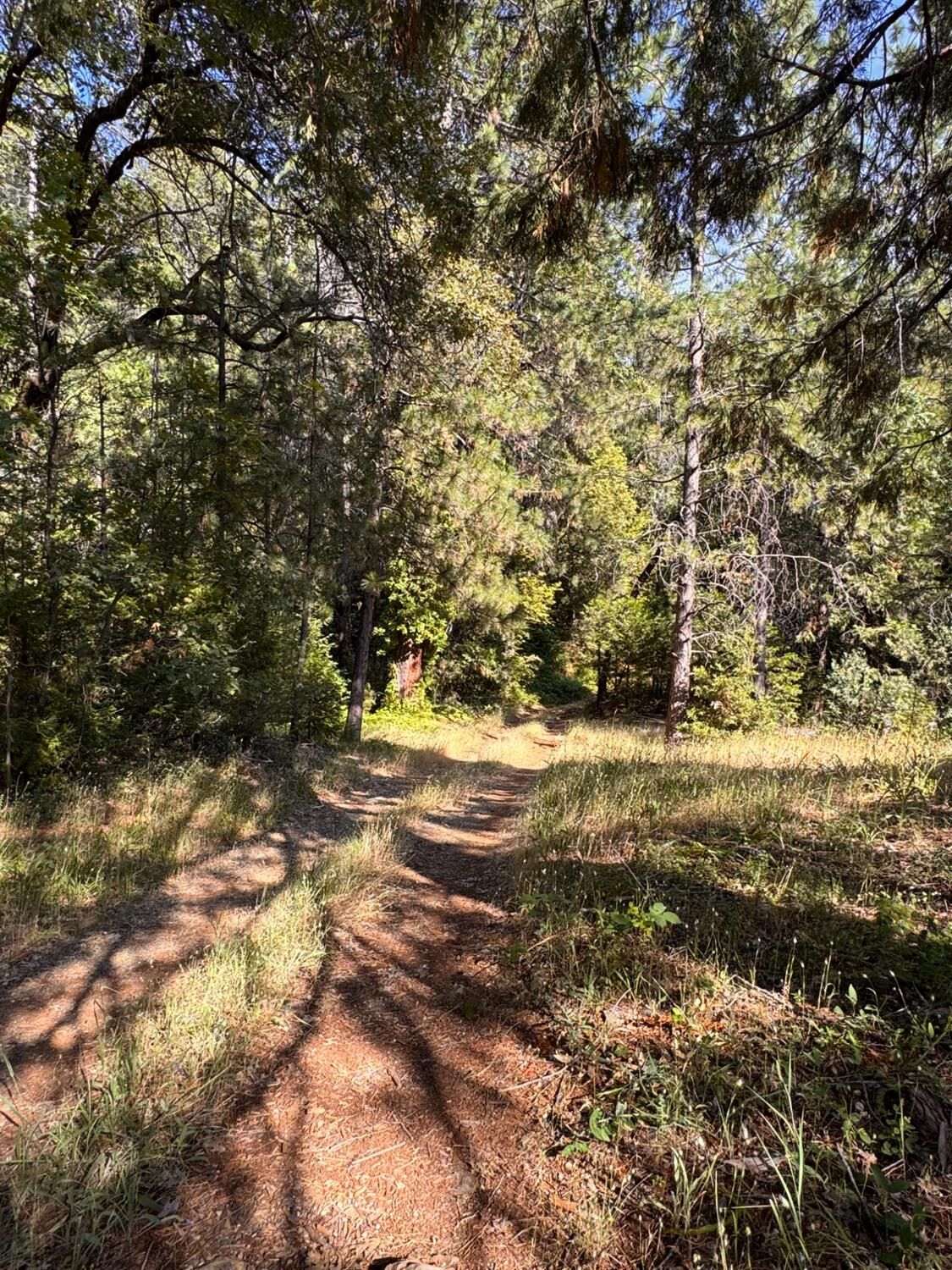 Property Photo: 16492 Indiana Ranch Road CA 95935